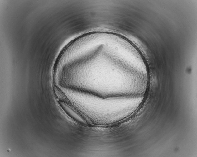 X0000098011238200804181126