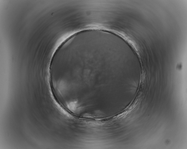 X0000098011239200804181126