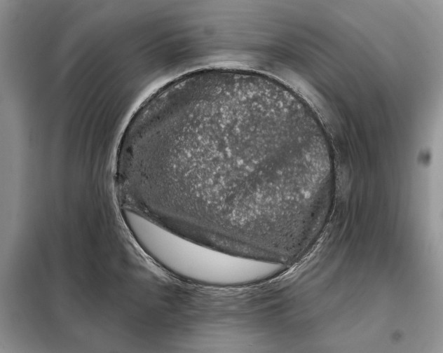 X0000098011240200804181126