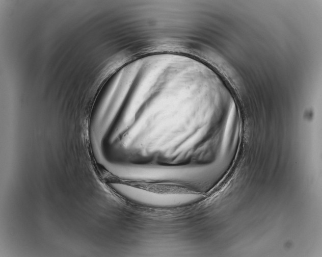 X0000098011241200804181126