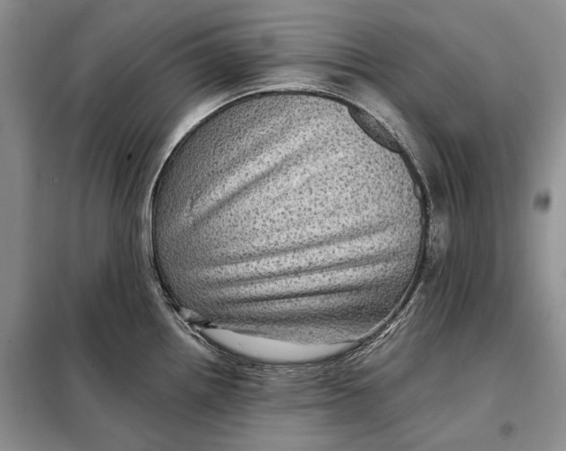 X0000098011242200804181126