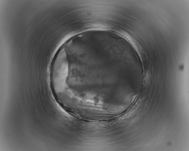 X0000098011243200804181126