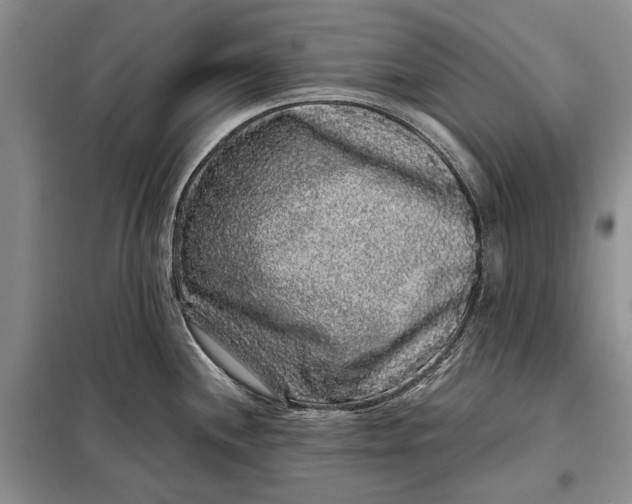 X0000098011244200804181126