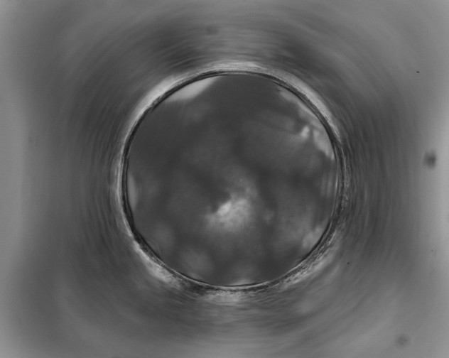 X0000098011245200804181126