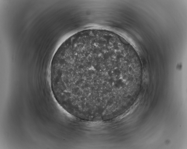 X0000098011247200804181126