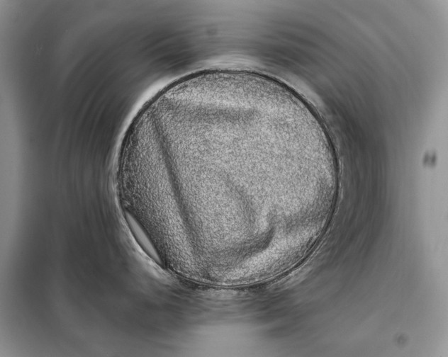 X0000098011248200804181126