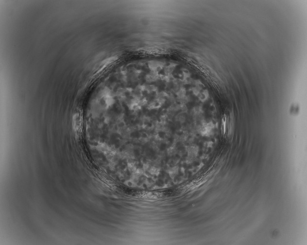 X0000098011251200804181125