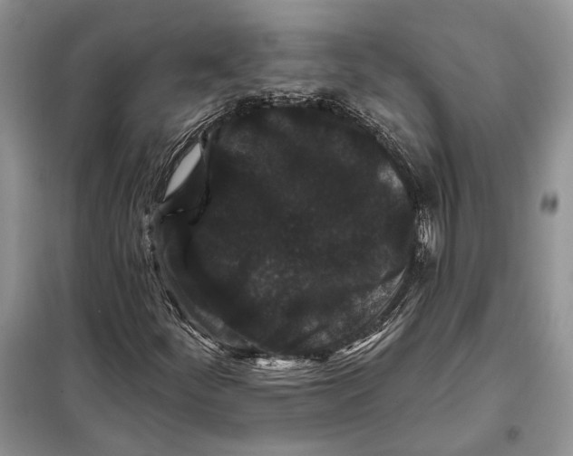 X0000098011252200804181125