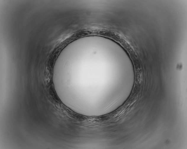 X0000098011253200804181125