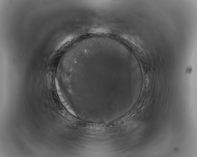 X0000098011254200804181125