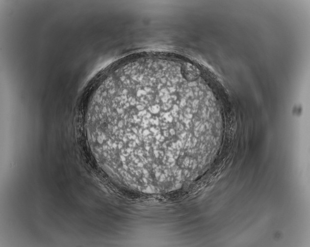 X0000098011255200804181125