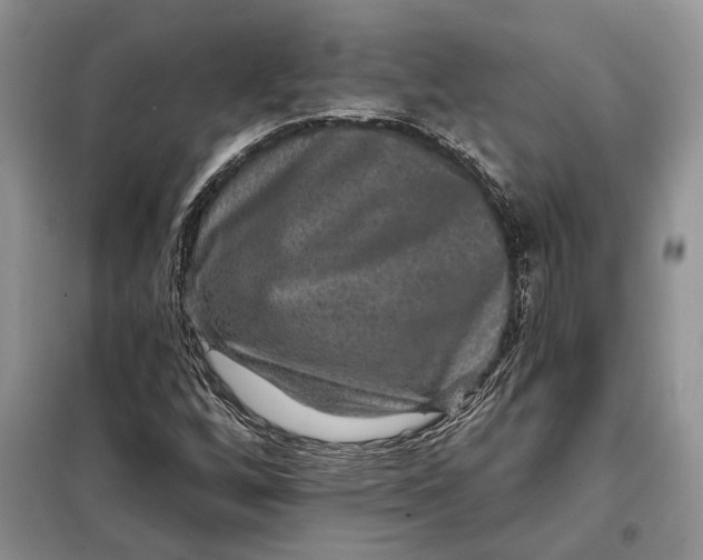 X0000098011256200804181125