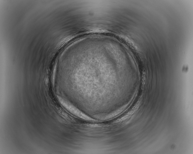 X0000098011257200804181125