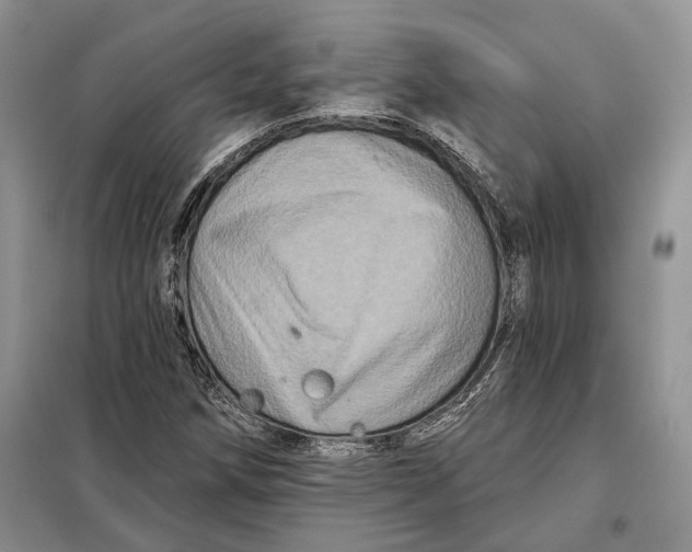 X0000098011258200804181125