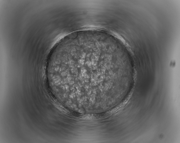 X0000098011259200804181125