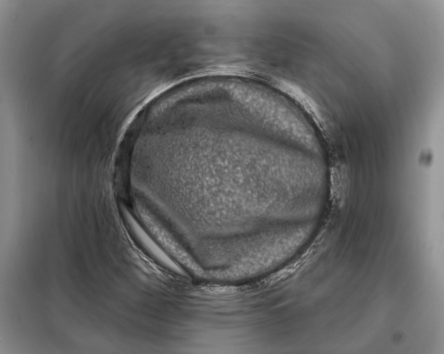 X0000098011260200804181125