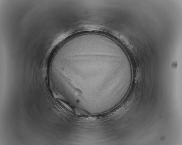 X0000098011261200804181125