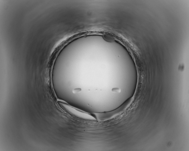 X0000098011262200804181125