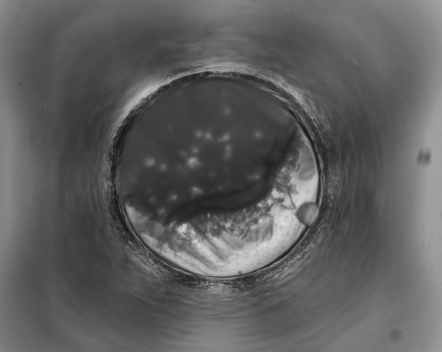 X0000098011263200804181125