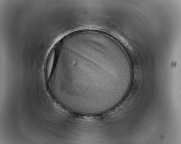 X0000098011264200804181125