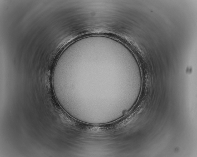 X0000098011265200804181125