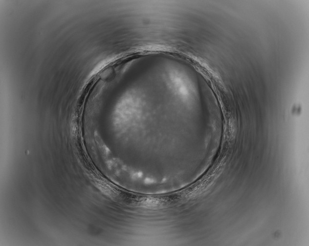 X0000098011266200804181125