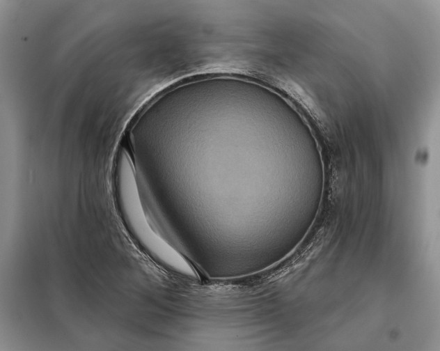 X0000098011268200804181125