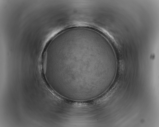 X0000098011269200804181125