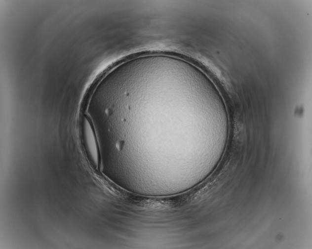 X0000098011270200804181125