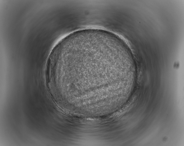 X0000098011271200804181125