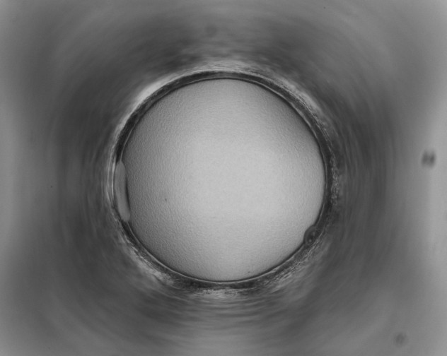 X0000098011272200804181125