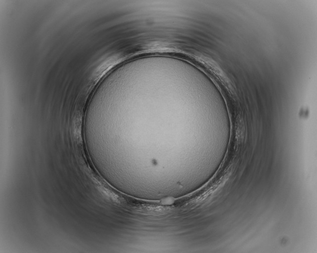 X0000098011273200804181125