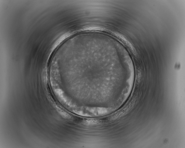 X0000098011274200804181125