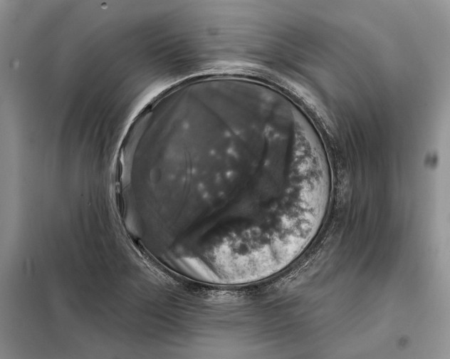 X0000098011275200804181125