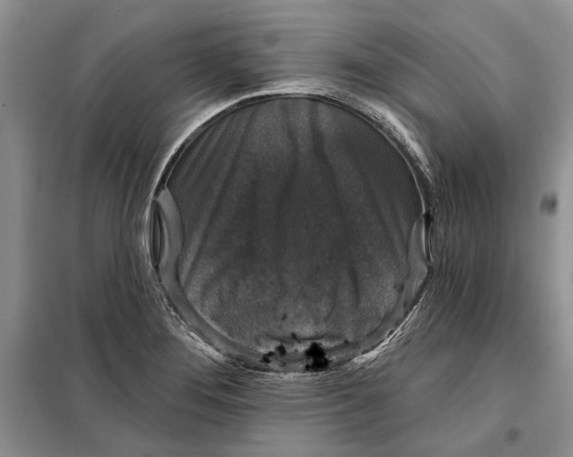 X0000098011276200804181125