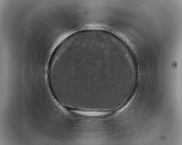 X0000098011277200804181125