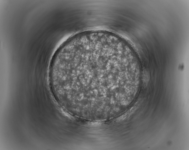 X0000098011278200804181125