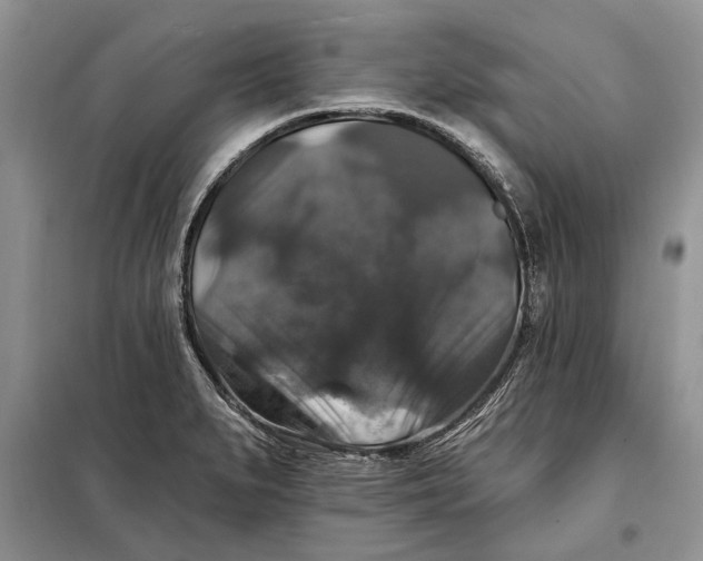 X0000098011279200804181125