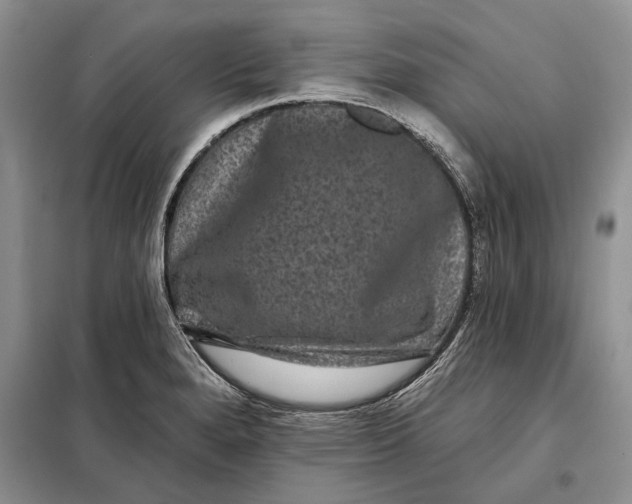 X0000098011280200804181125