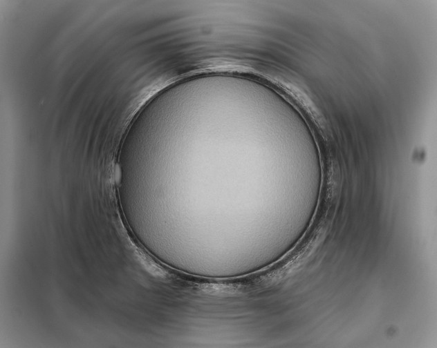 X0000098011281200804181125