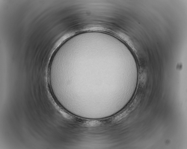 X0000098011282200804181125