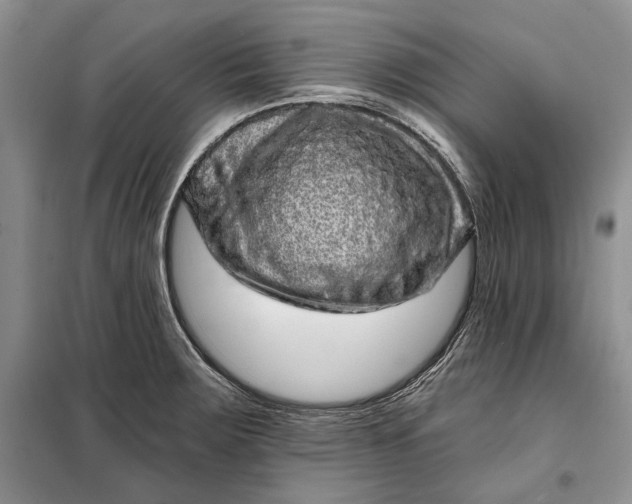 X0000098011283200804181125