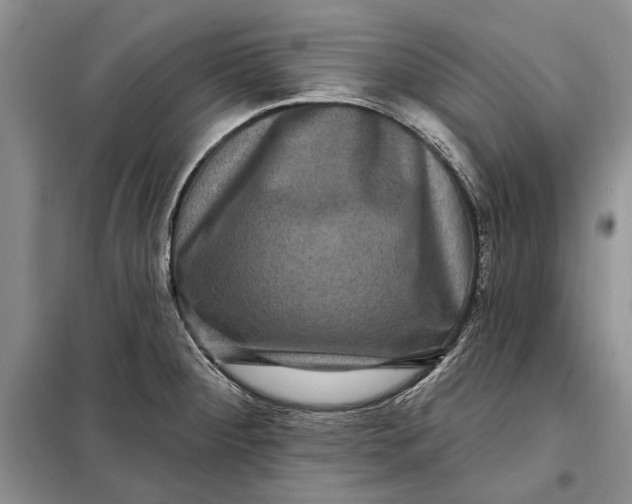 X0000098011284200804181125