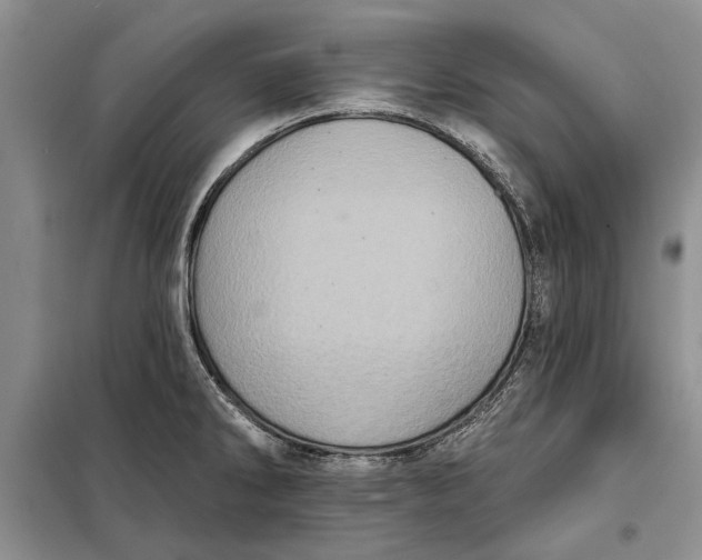 X0000098011286200804181125