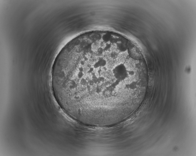 X0000098011287200804181125