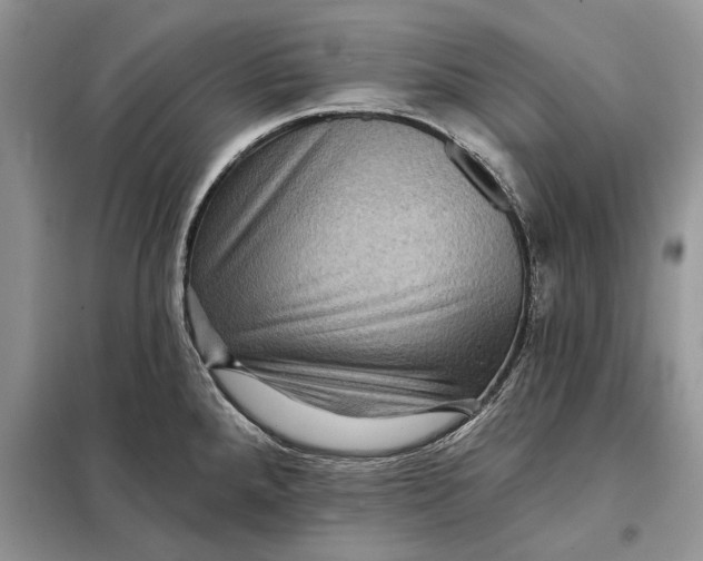 X0000098011288200804181125