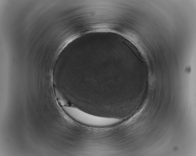 X0000098011289200804181125