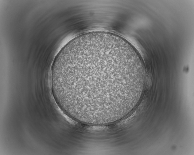 X0000098011290200804181125