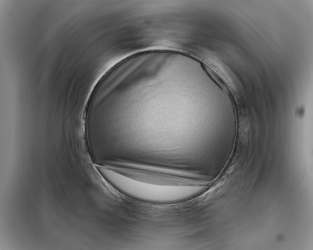 X0000098011292200804181125