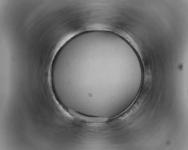 X0000098011293200804181125